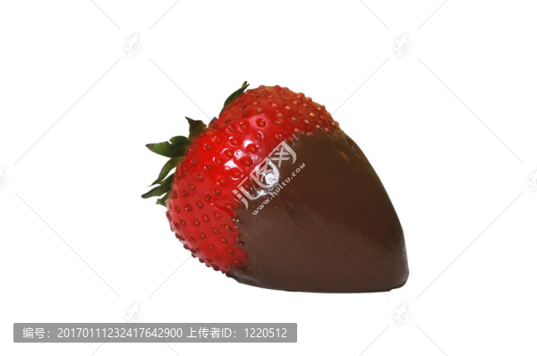巧克力斯倬博
