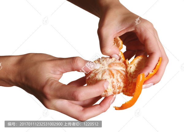 Tangerine夜店