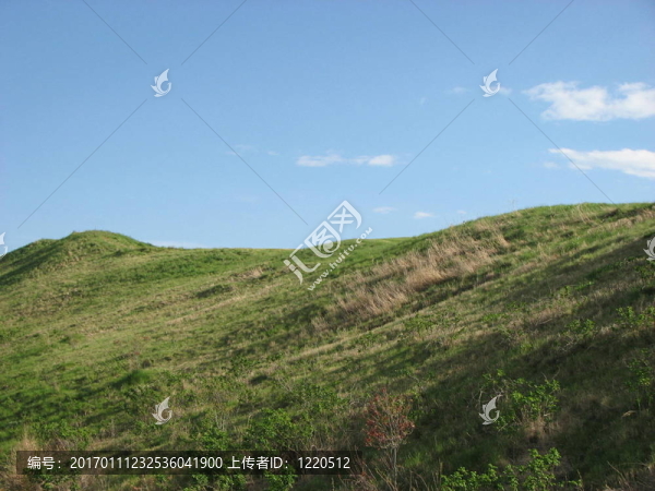 山
