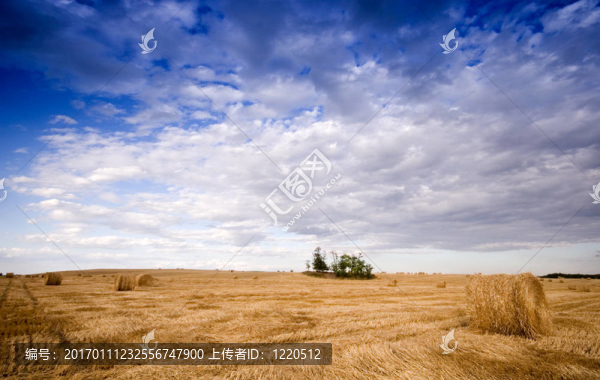 貝爾景觀
