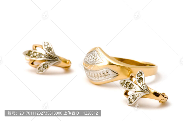 耳環(huán)和密封環(huán)