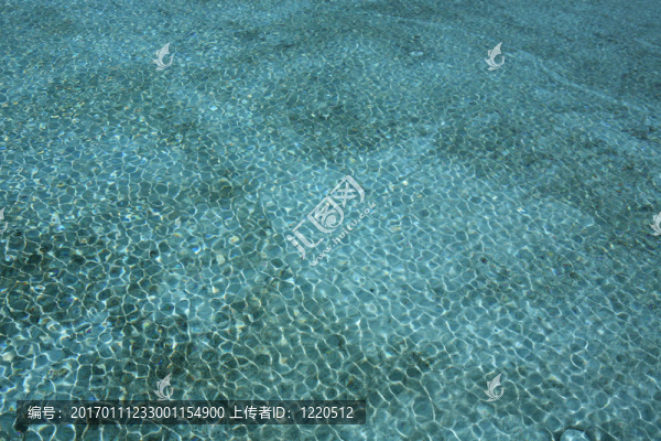 明亮的藍色游泳池