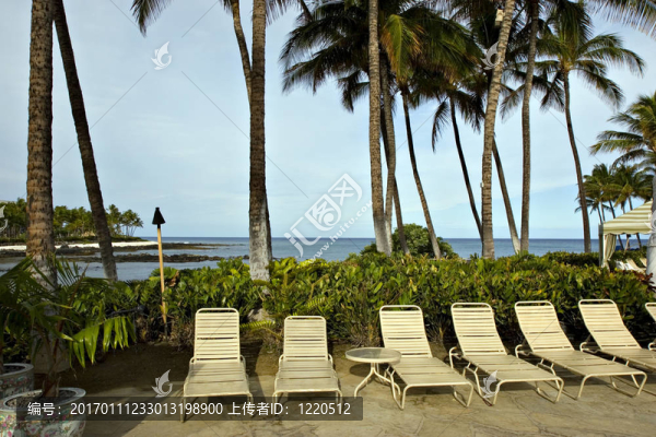 夏威夷松弛-匯圖網(wǎng) www.fosd68.com 夏威夷松弛