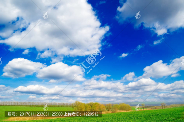 春景。