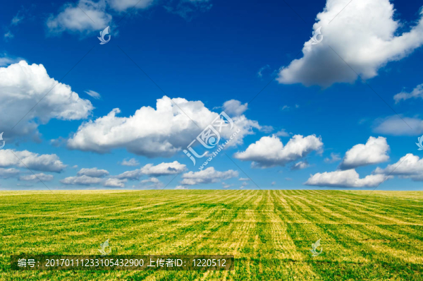 綠色領(lǐng)域。