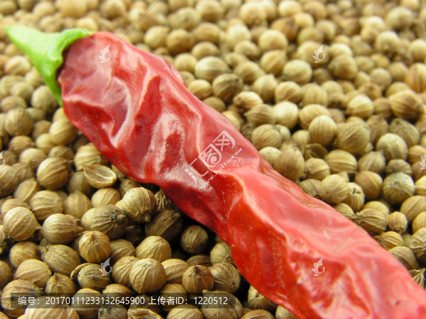 香料.佩珀。