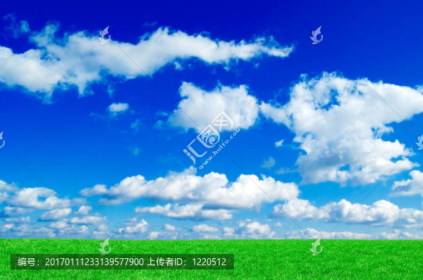 綠色的田野