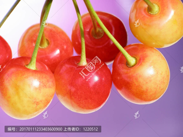 豐富多彩的櫻桃