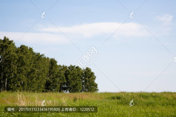 夏天的風(fēng)景。
