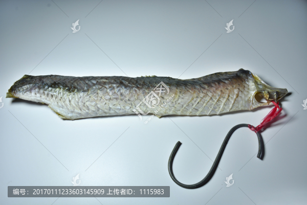 曬咸魚