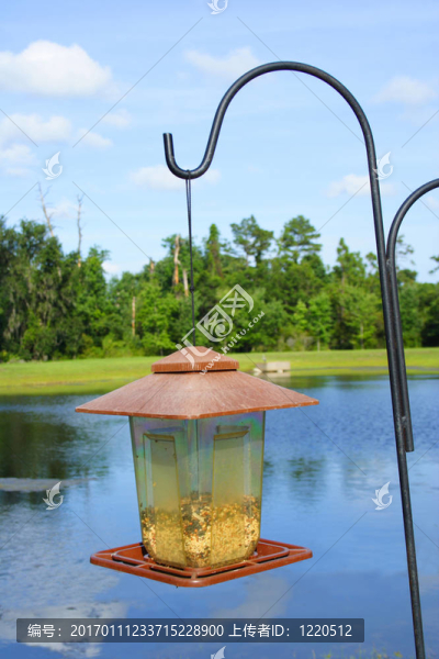 鳥(niǎo)表-匯圖網(wǎng) www.fosd68.com 鳥(niǎo)表