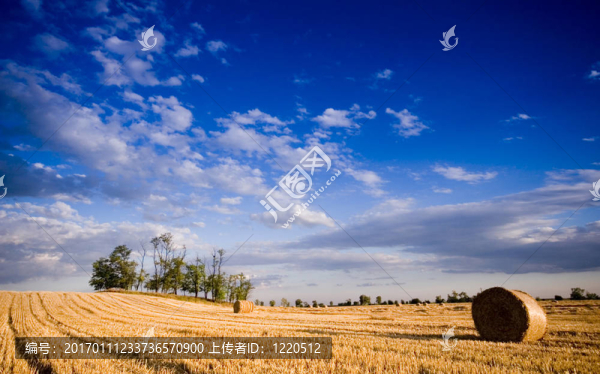 貝爾景觀(guān)