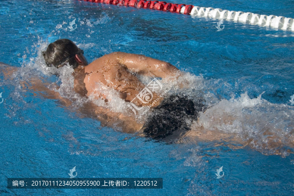 游泳運(yùn)動員