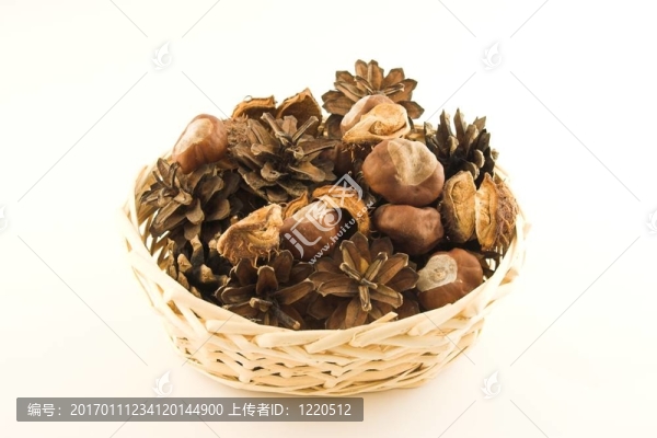 松果和板栗
