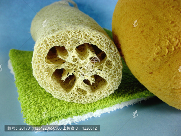 毛巾bathsponge絲瓜