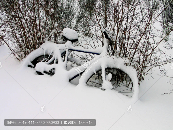 雪地里的自行車