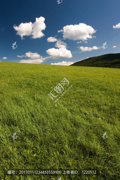 夏天的抽象風(fēng)景