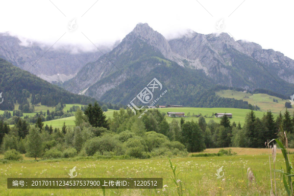 阿爾卑斯山脈的觀點