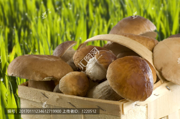 草
