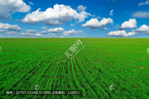 景觀。
