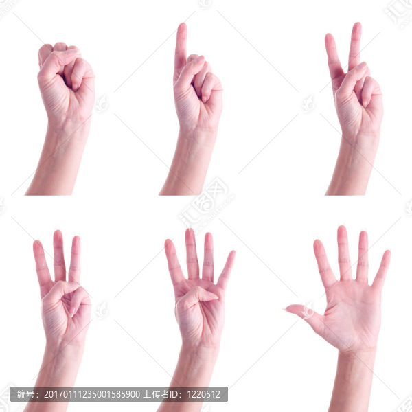 零到五