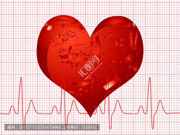 心臟的跳動(dòng)-匯圖網(wǎng) www.fosd68.com 心臟的跳動(dòng)
