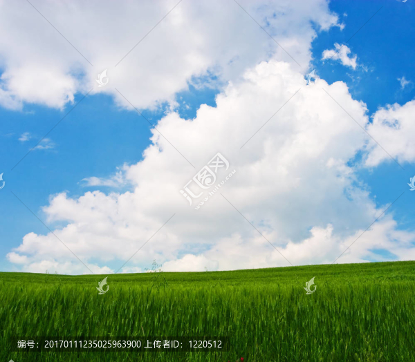 花景觀
