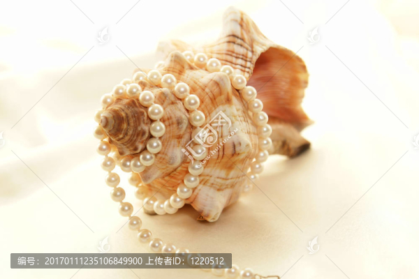 珍珠包殼