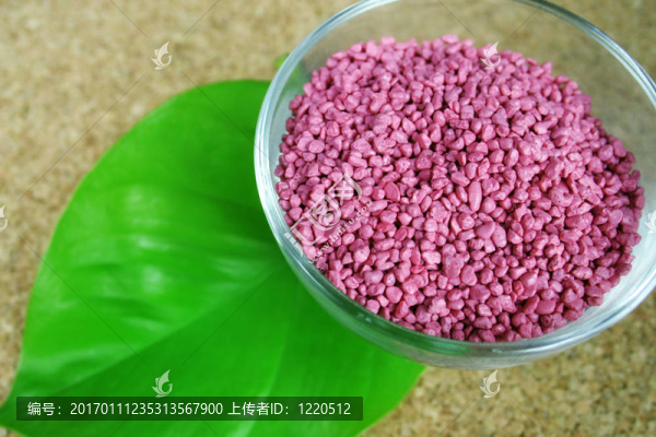 健康水療概念