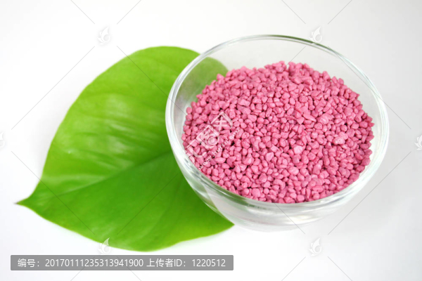 健康水療概念