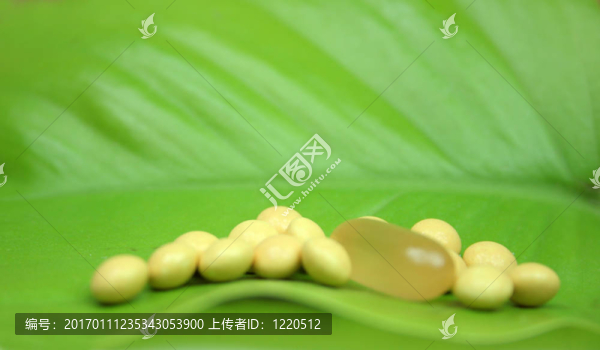 丸-醫(yī)療