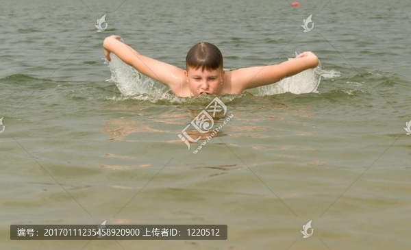 蝶泳