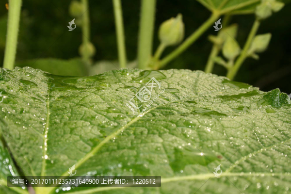 帶水滴離開