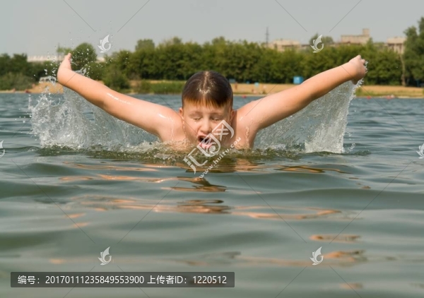 蝶泳