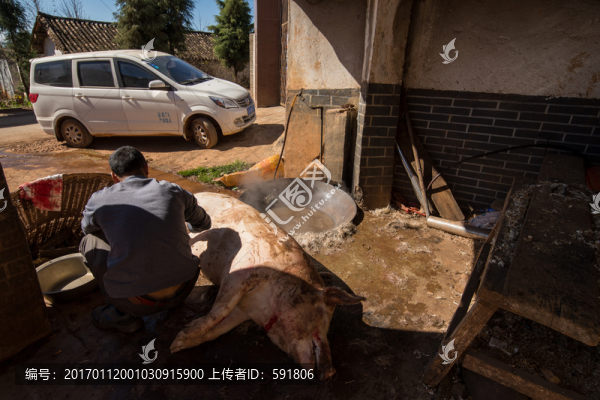 殺年豬