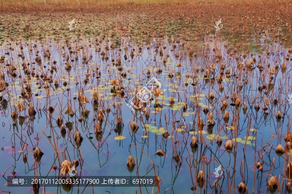 沙家浜風(fēng)景區(qū)