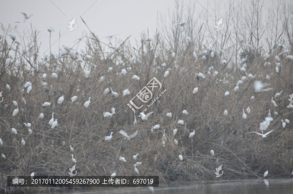 沙家浜風(fēng)景區(qū)