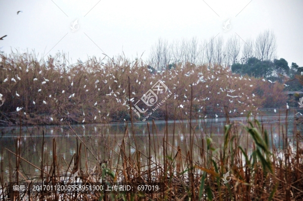 沙家浜風(fēng)景區(qū)