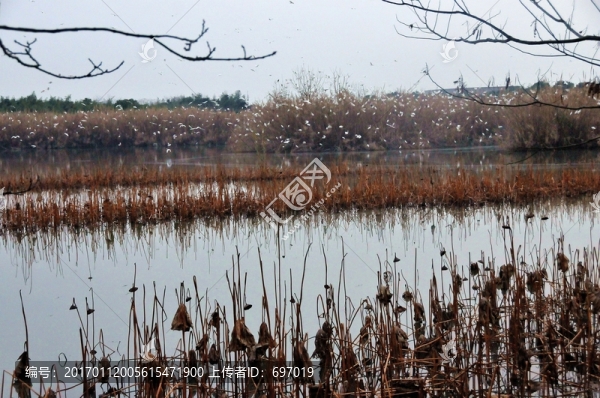 沙家浜風(fēng)景區(qū)