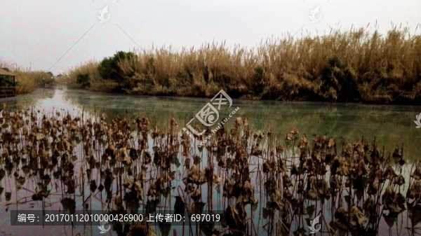 沙家浜風(fēng)景區(qū)