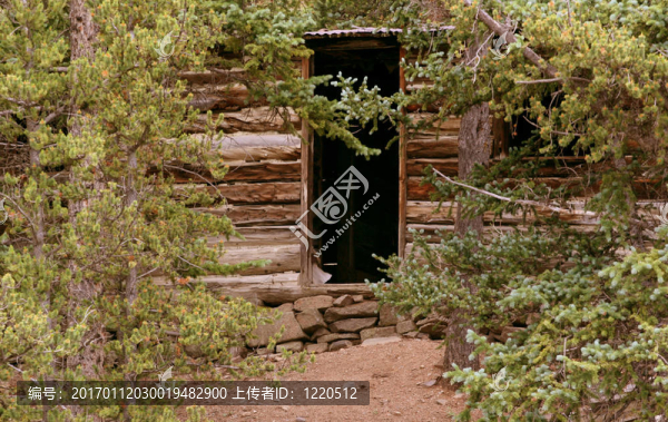 樹上的小屋
