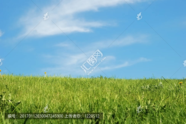 綠地和藍(lán)天