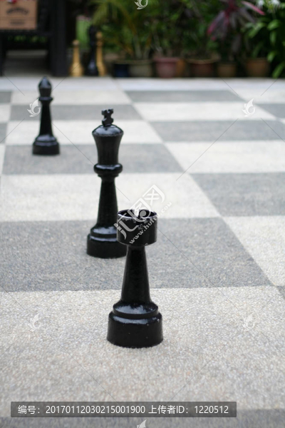 巨型象棋