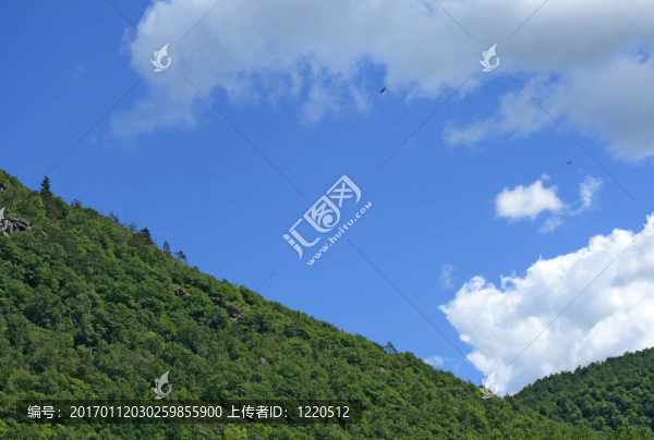 綠色的山坡
