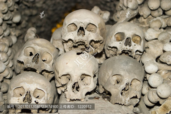 六人類頭骨-匯圖網(wǎng) www.fosd68.com 六人類頭骨