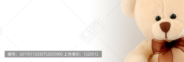 泰迪的旗幟