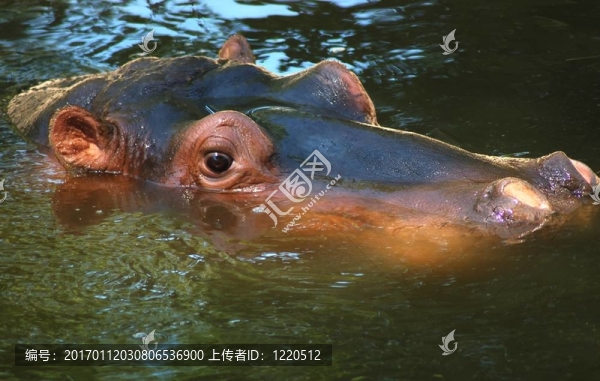 這里看著你