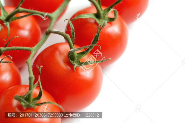 番茄1