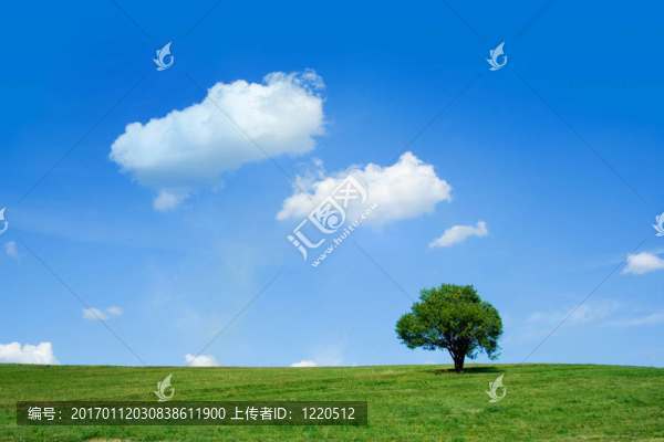 夏天的田野