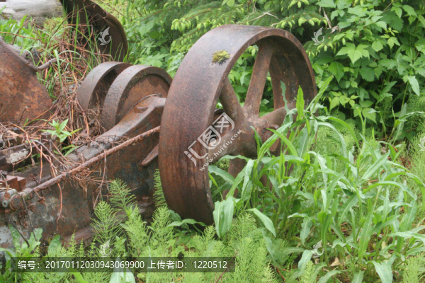 草中生銹的輪子